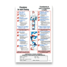 CHOKING PREVENTION POSTER